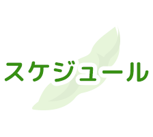 スケジュール