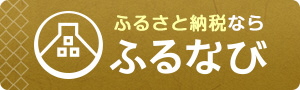 furunavi300x90-gold